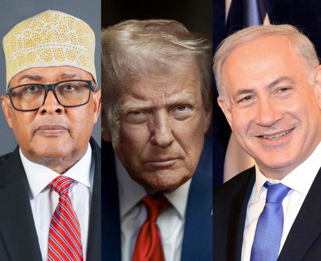 Le Somaliland offre aux États-Unis et à Israël l'accès à ses ressources minérales